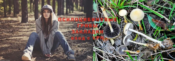 наркотики Баксан