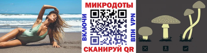 Купить где  Балаково  Псилоцибиновые грибы прущие грибы 